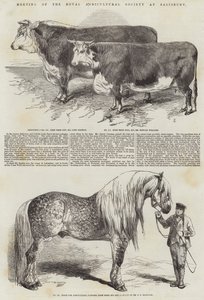 Møte i Royal Agricultural Society i Salisbury